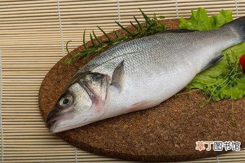 鱼肉价格走势 鱼肉价格上涨