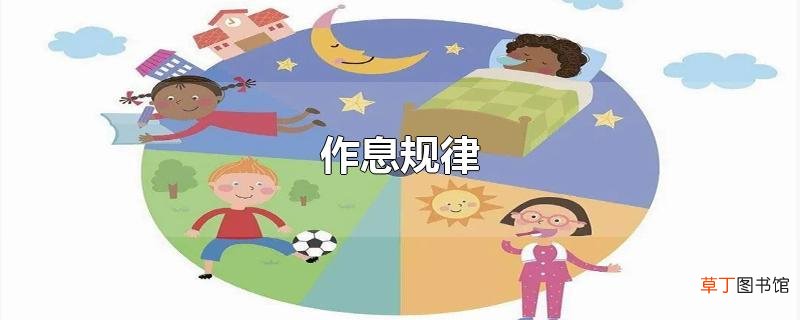 作息规律