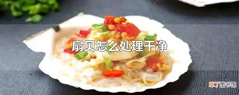 扇贝怎么处理干净