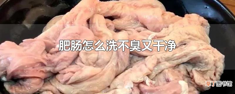 肥肠怎么洗不臭又干净