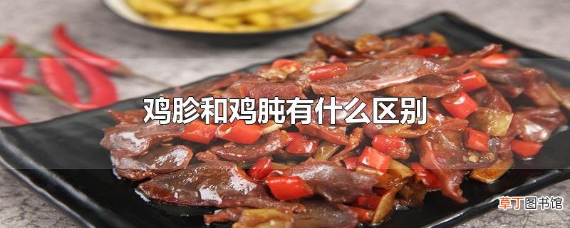 鸡胗和鸡肫有什么区别