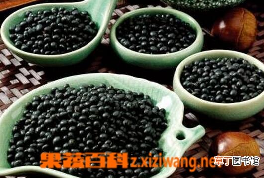 脱发怎么办 防脱发的常见食疗