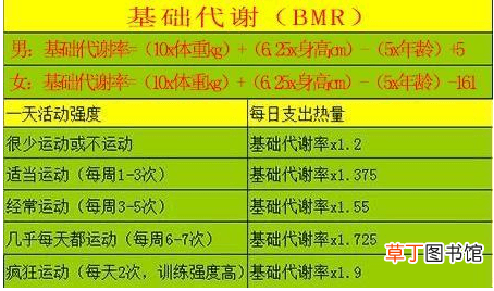 基础代谢计算公式-怎么算基础代谢