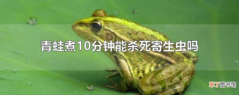 青蛙煮10分钟能杀死寄生虫吗