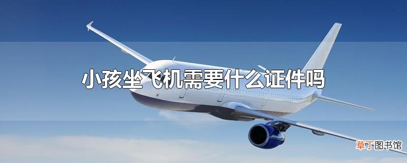 小孩坐飞机需要什么证件吗