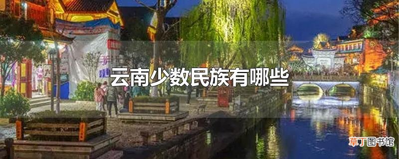云南少数民族有哪些