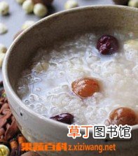 荷蒂粥