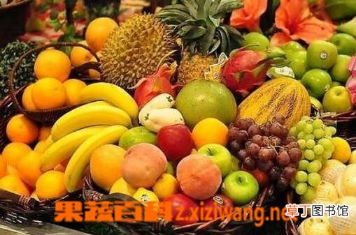冬季减肥的好办法 冬季怎么减肥效果好