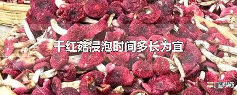 干红菇浸泡时间多长为宜
