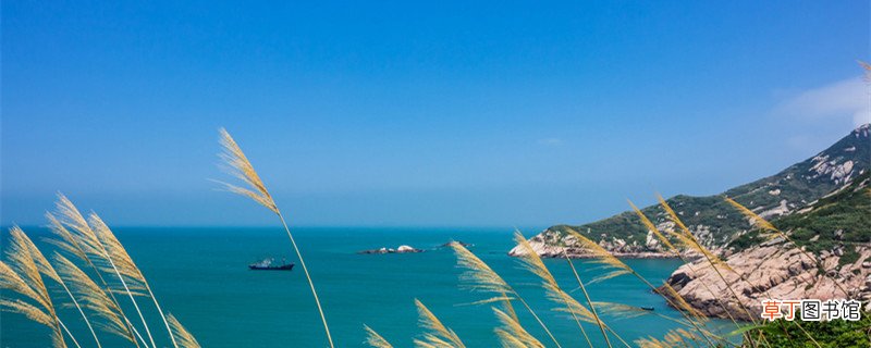 有鱼焉的焉是什么意思 有鱼焉中的焉是什么意思
