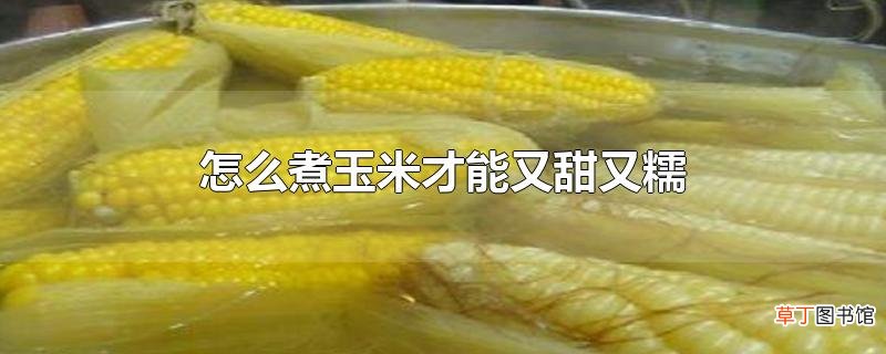 怎么煮玉米才能又甜又糯