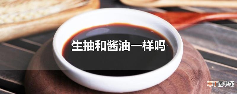 生抽和酱油一样吗