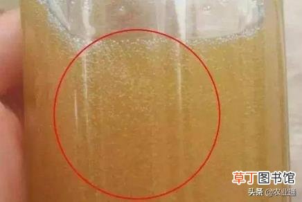 如何识别蜂蜜的真假 100%纯蜂蜜多少钱一斤