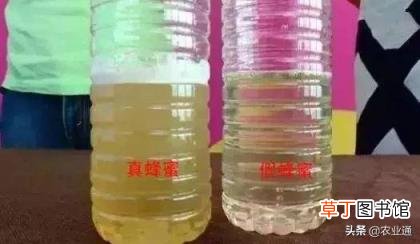 如何识别蜂蜜的真假 100%纯蜂蜜多少钱一斤