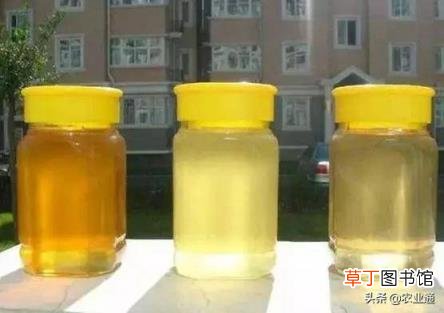 如何识别蜂蜜的真假 100%纯蜂蜜多少钱一斤