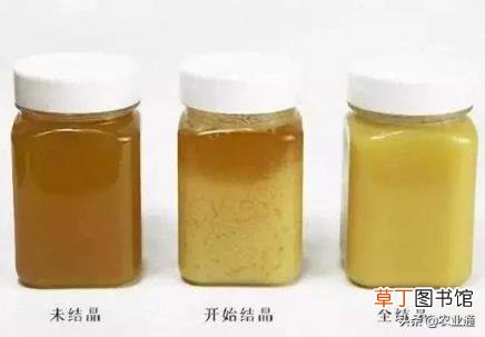 如何识别蜂蜜的真假 100%纯蜂蜜多少钱一斤
