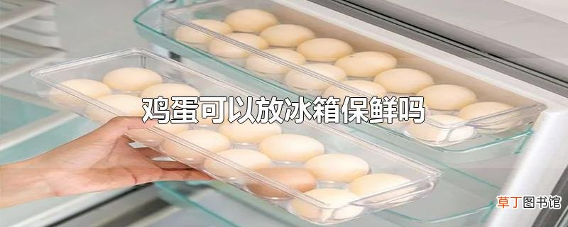 鸡蛋可以放冰箱保鲜吗