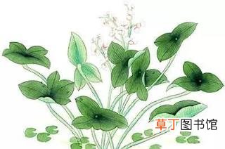 如何说好普通话 如何说好普通话技巧
