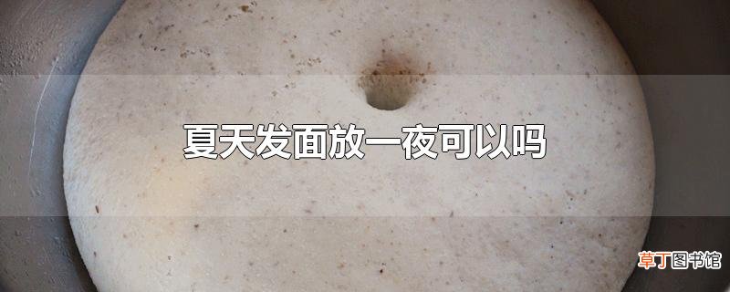 夏天发面放一夜可以吗