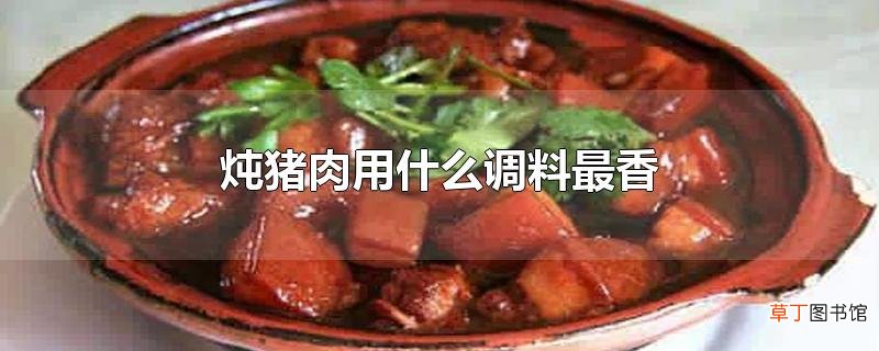 炖猪肉用什么调料最香