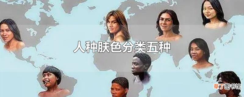 人种肤色分类五种