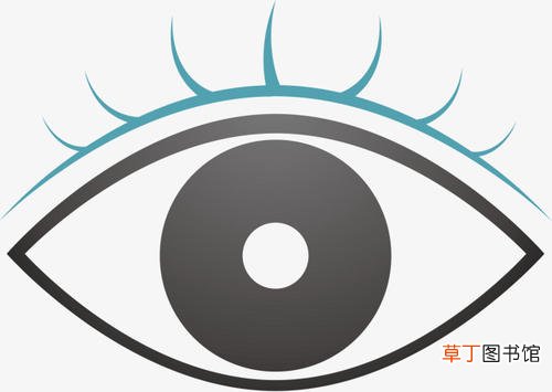 吃什么补眼睛效果最好-吃什么可以补眼睛