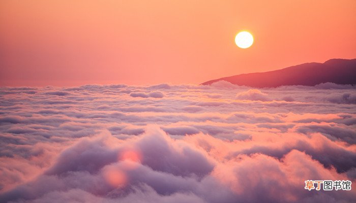 苦海翻起爱恨 在世间难逃避命运什么意思 歌词苦海翻起爱恨是哪首歌