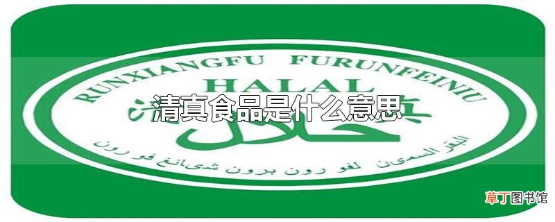 清真食品是什么意思