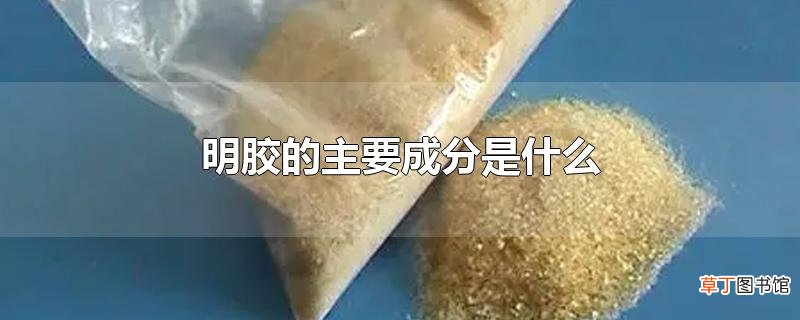 明胶的主要成分是什么
