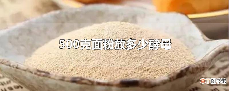 500克面粉放多少酵母