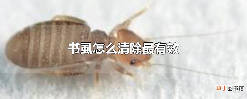 书虱怎么清除最有效