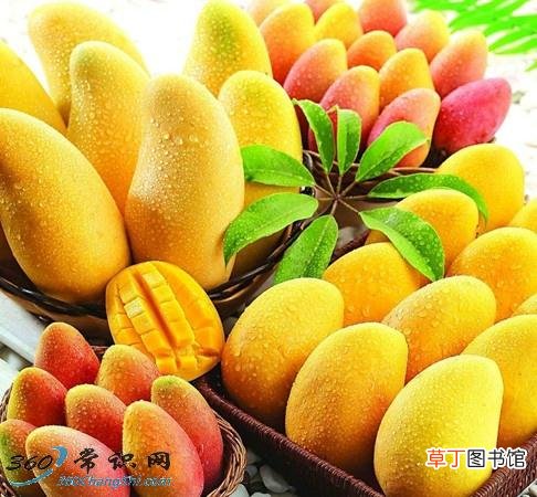 芒果怎样剥皮？芒果剥皮技巧
