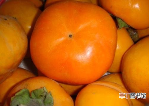 柿子太涩怎么办？生柿子如何去涩