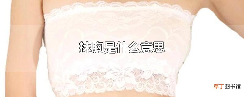 抹胸是什么意思