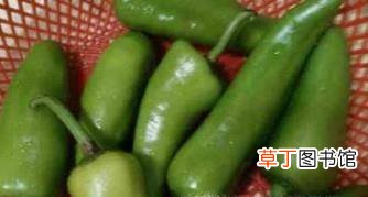 简易版腌辣椒的做法