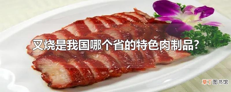 叉烧是我国哪个省的特色肉制品?