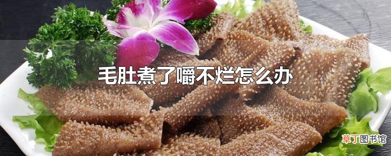 毛肚煮了嚼不烂怎么办
