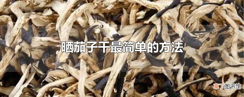 晒茄子干最简单的方法