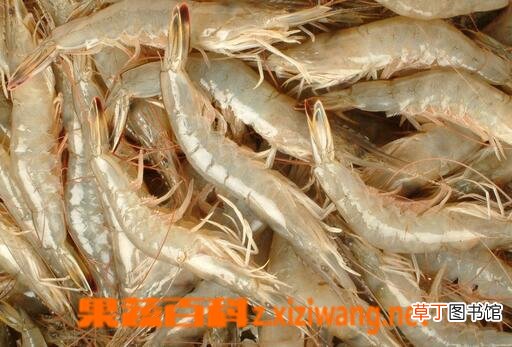 催奶的食物有哪些 产后无奶吃什么好