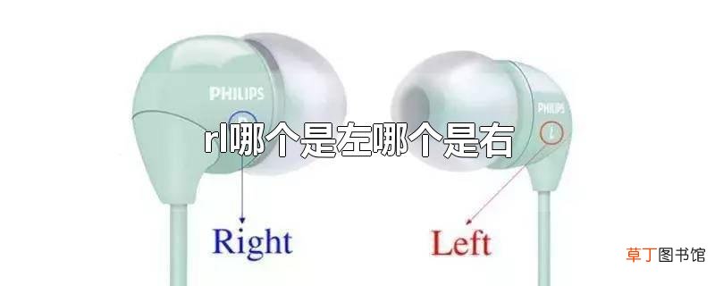 rl哪个是左哪个是右