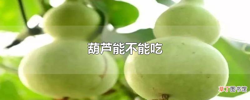 葫芦能不能吃