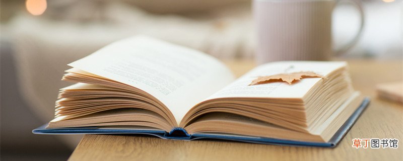 琐记中引用《长恨歌》中的哪两句诗 琐记引用了长恨歌中的哪两句