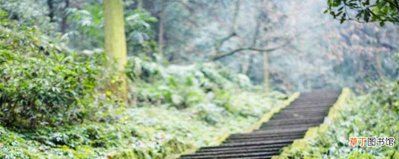 登山里许全文翻译注释 登山里许翻译及注释
