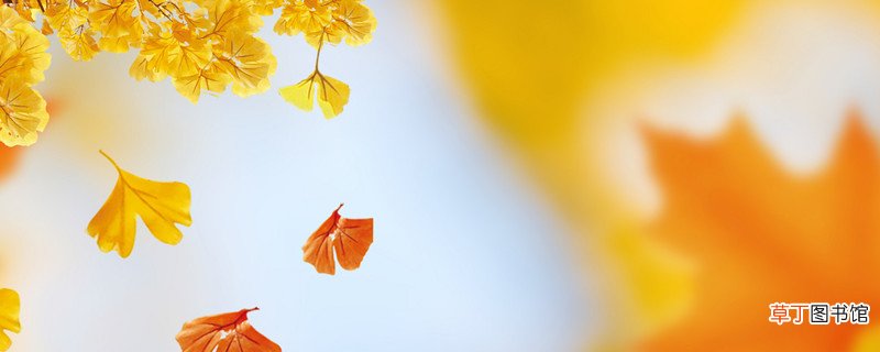 秋的声音从远方匆匆地来向远方匆匆地去这句话的意思是 秋的声音从远方匆匆地来向远方匆匆地去的意思