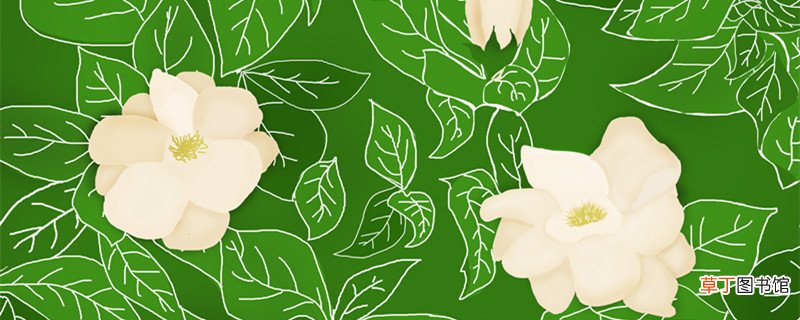 花之歌的主题概括 花之歌讲了什么