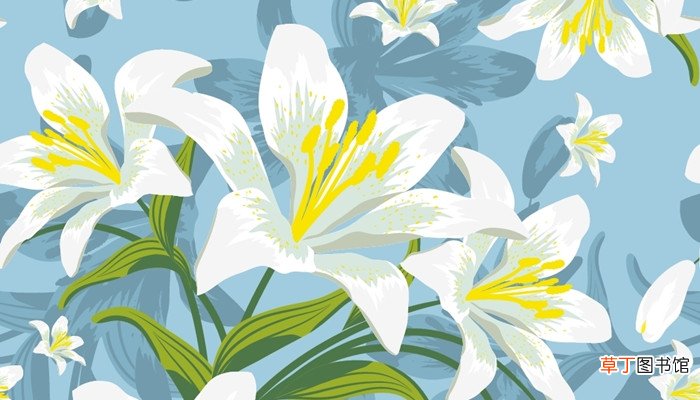 花之歌的主题概括 花之歌讲了什么