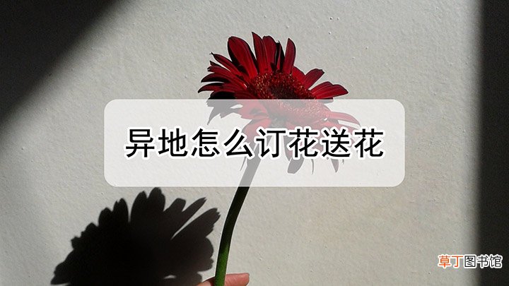 异地怎么订花送花