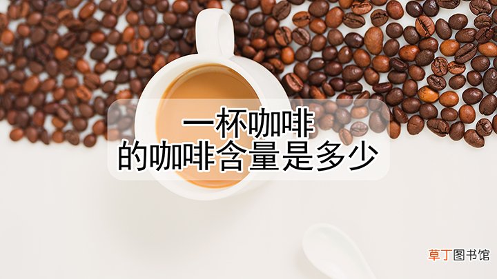 一杯咖啡的咖啡含量是多少