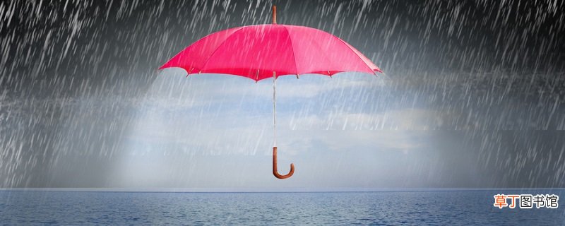 雨夜睡不着的心情短语 雨夜心情短语有哪些