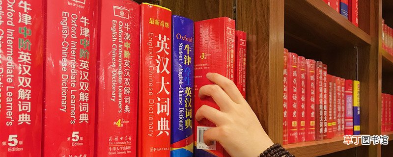 刨根问底的意思和解释 刨根问底是什么意思